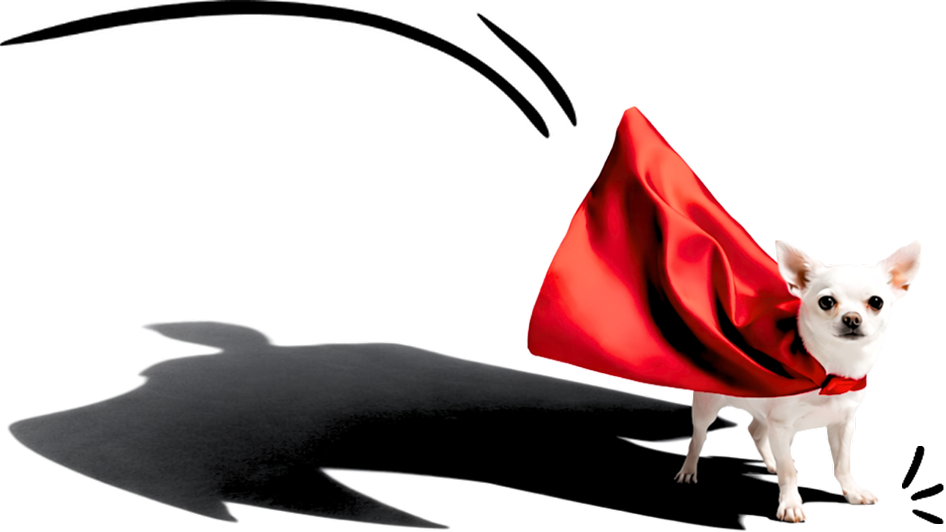 Small is Your Superpower superdog mascot - Shawna Suckow consumer behavior expert