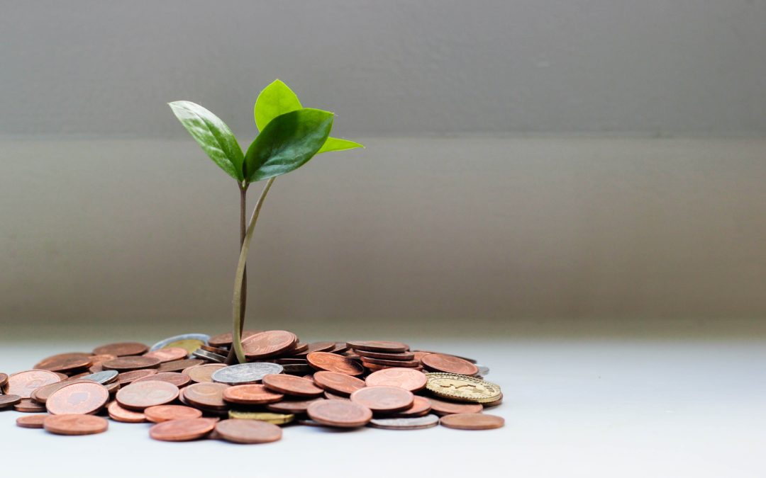 Grow your business through with social media - plant sprouting from coins